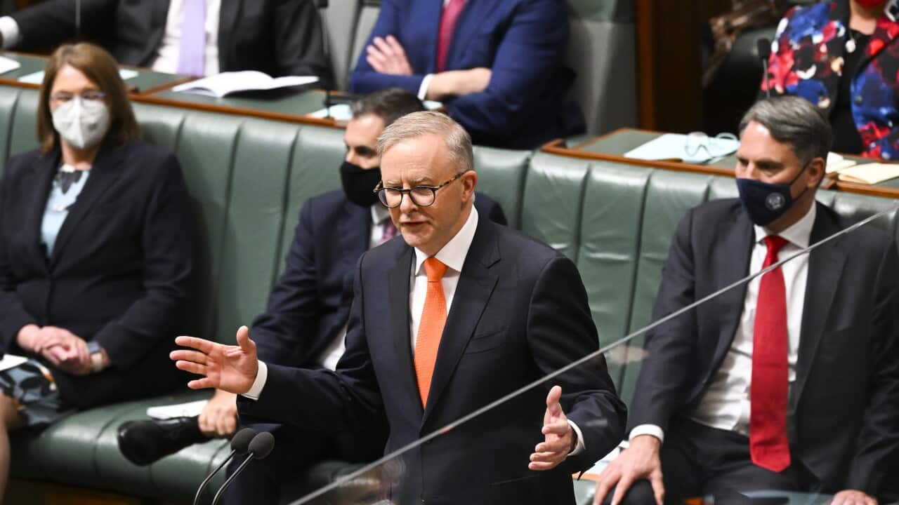 Prime Minister Anthony Albanese in parliament.