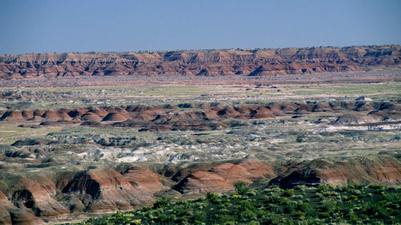 Petrified forest in Arizona