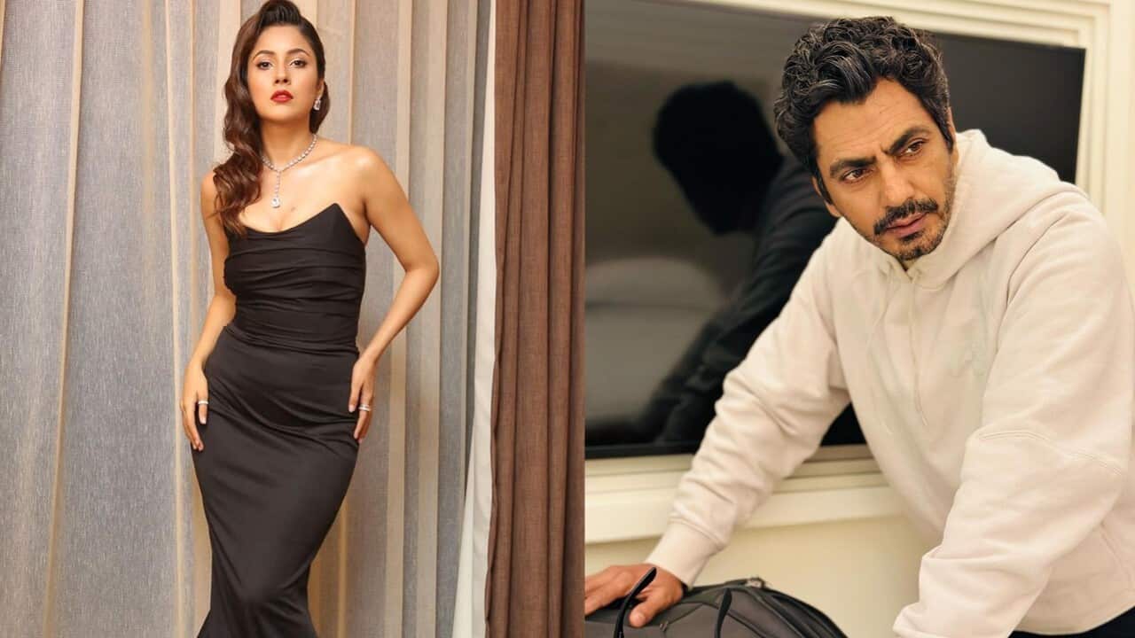 Image for read more article 'READ MORE'