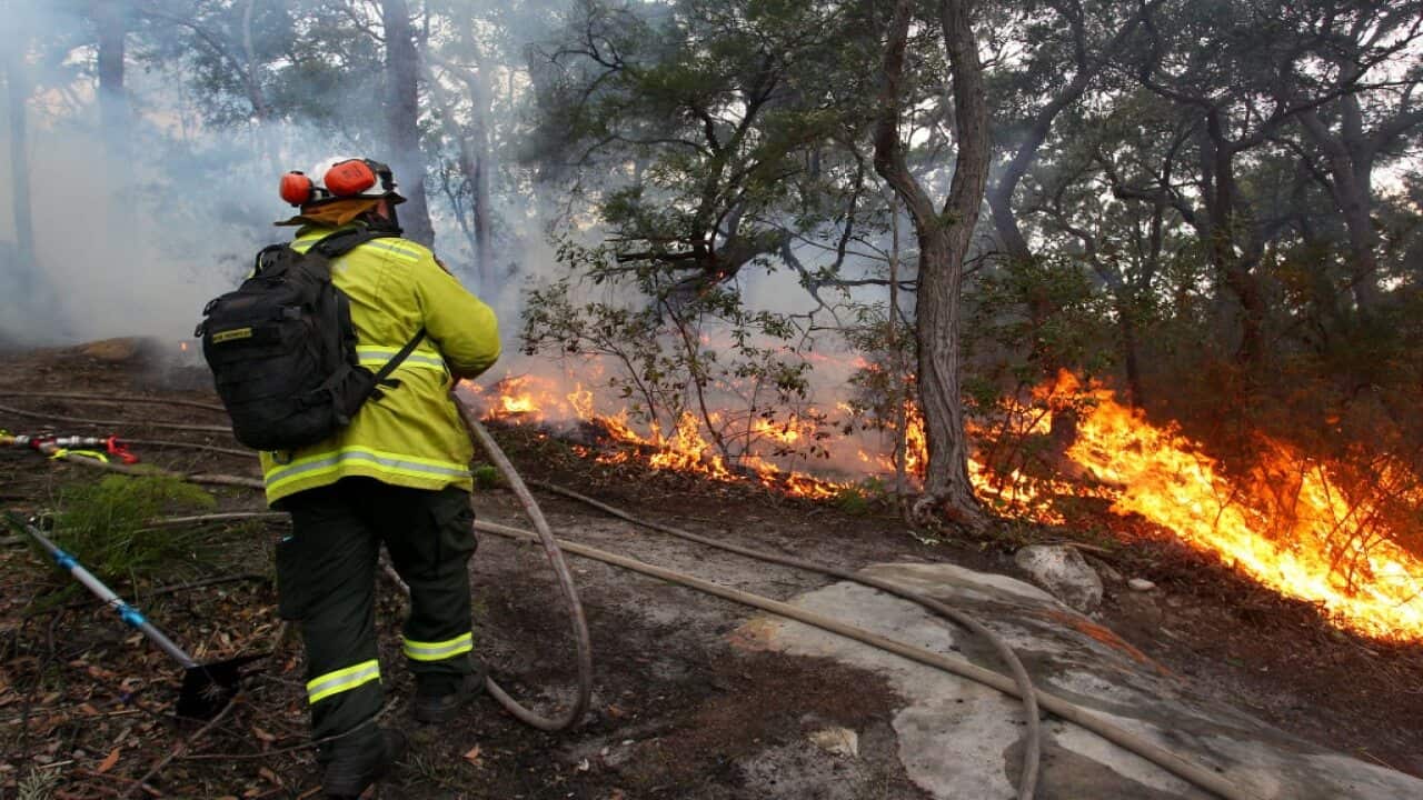 NSW's catastrophic bushfires, which killed 25 people earlier this year.