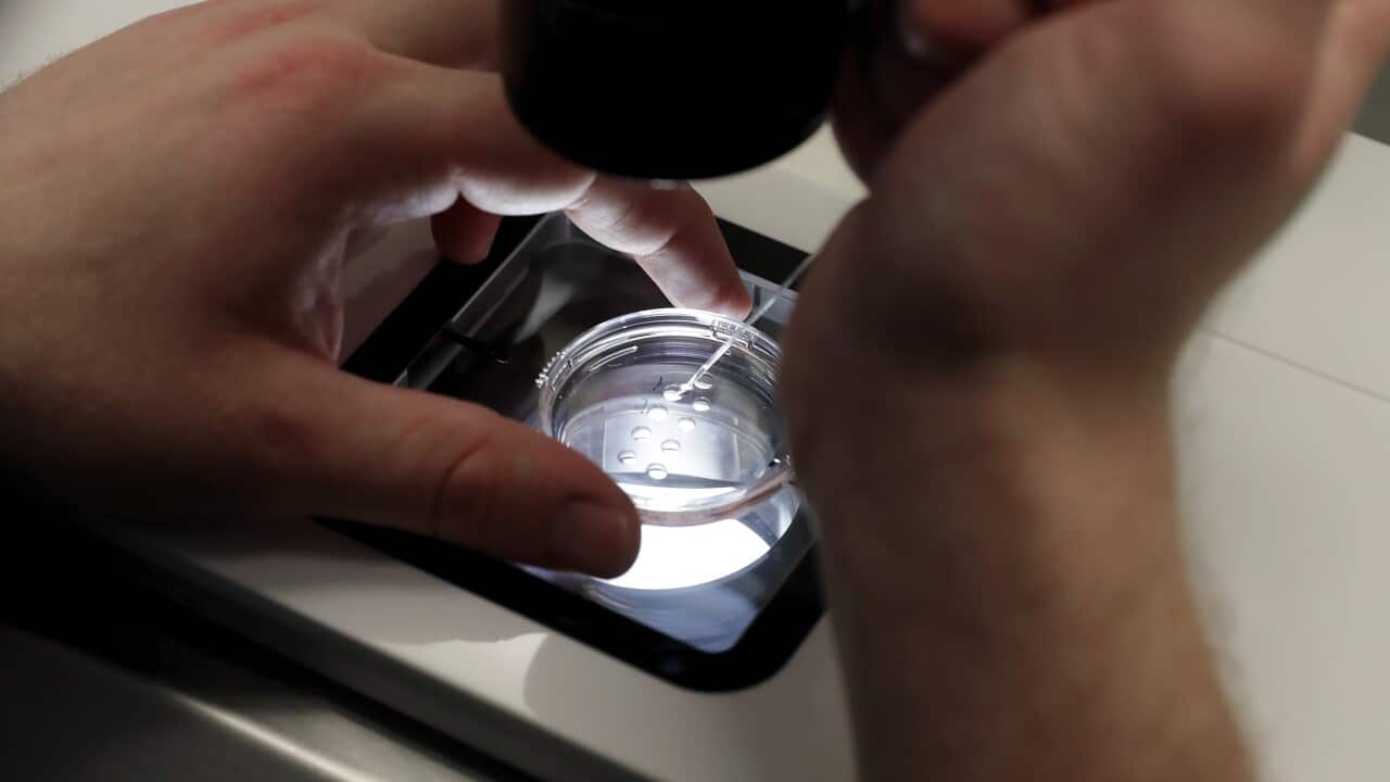 Georgia-Codify IVF