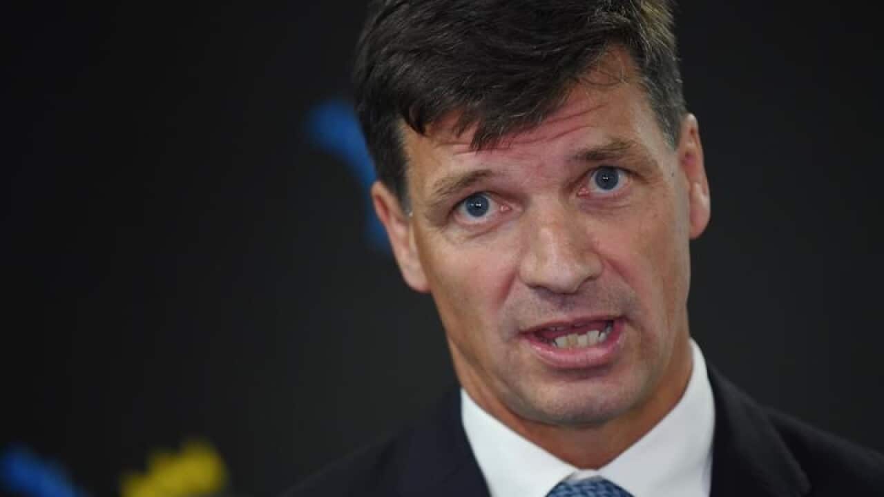 Energy Minister Angus Taylor