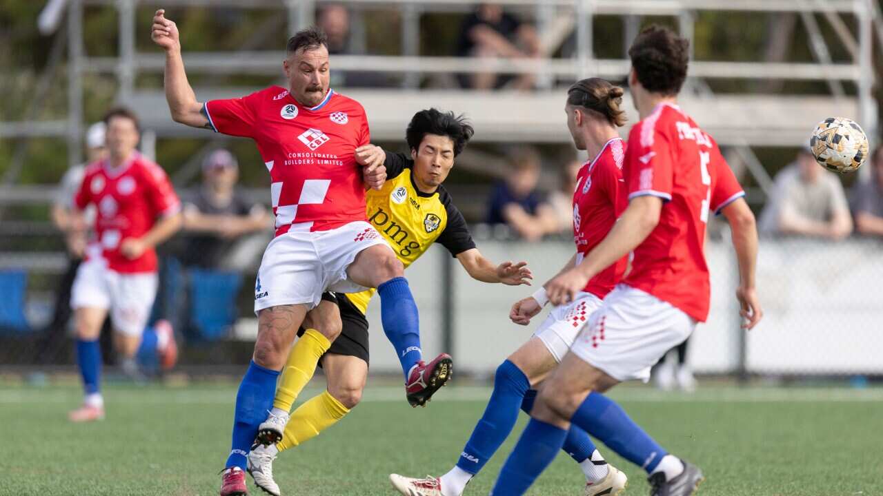 During the match between Marconi Stallions v Wollongong Wolves in the Australian Championship: Round 3, At Marconi Stadium, NSW