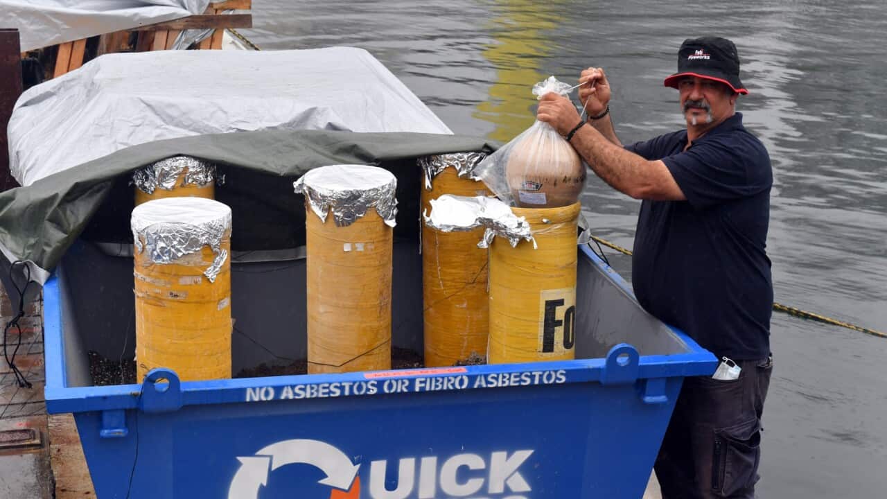 Image for read more article ''