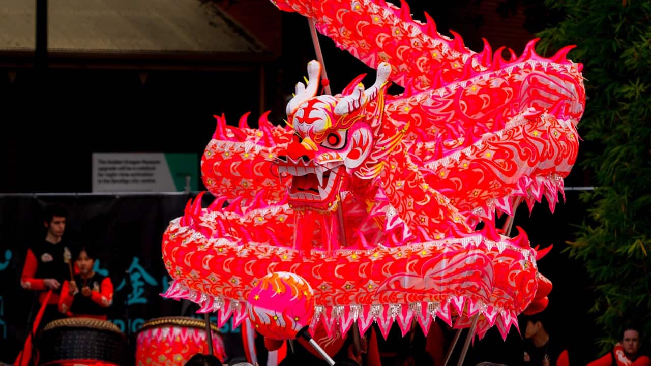 Image for read more article ''