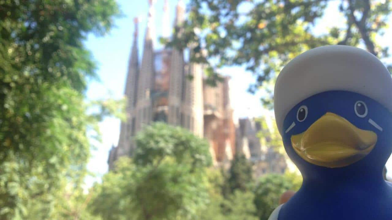 Image for read more article 'READ MORE'