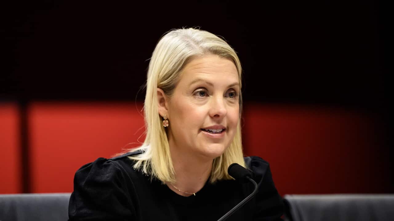 NSW CHILDCARE INQUIRY