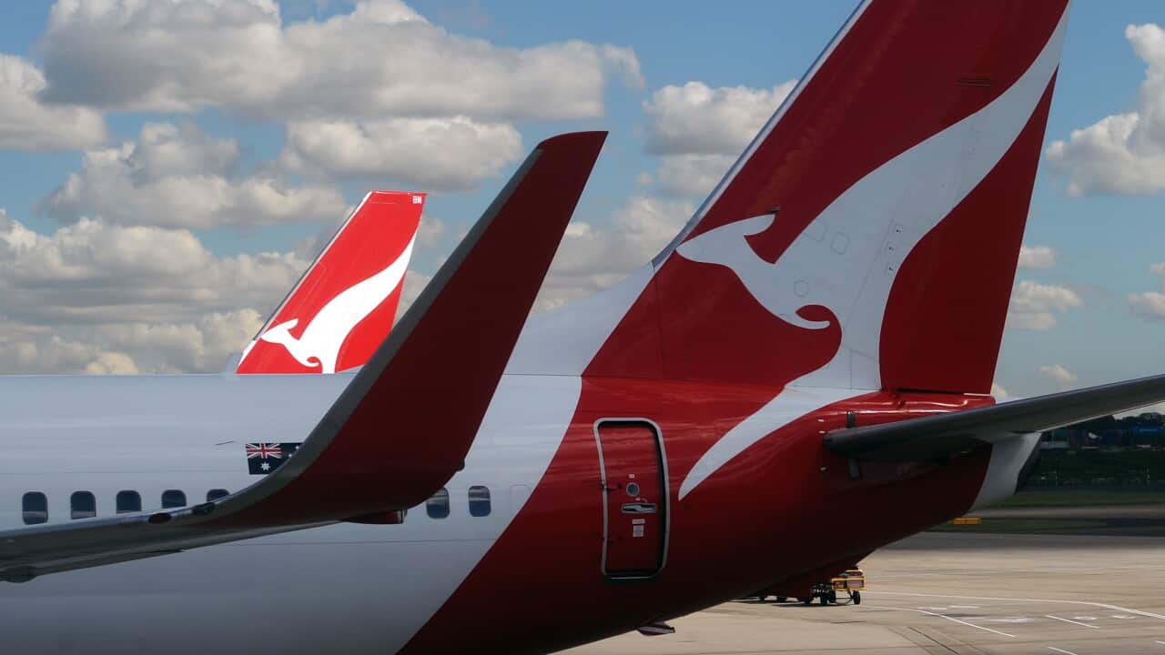 Qantas aircraft seen at Sydney International Airport, Sydney
