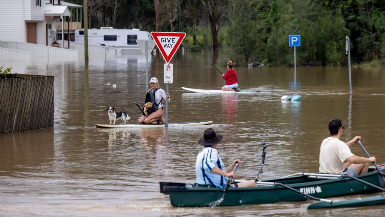 People in kayaks in floodwater