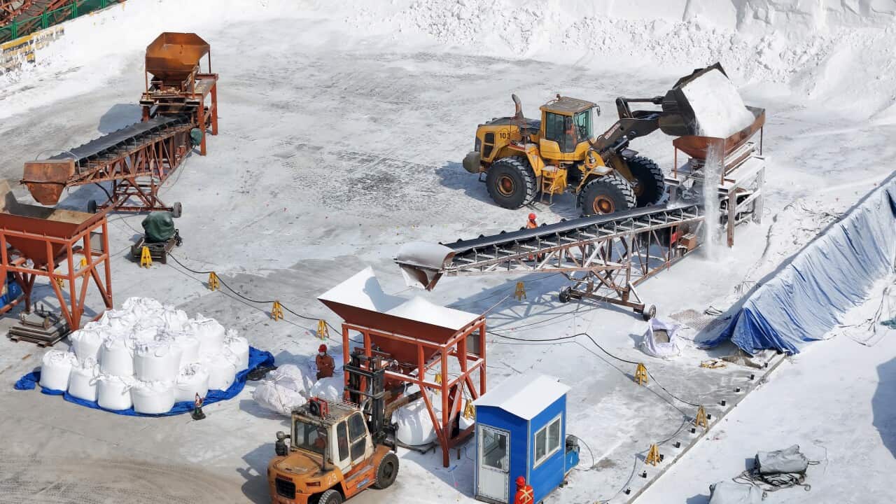 A front-end loader pours a white, crystalline substance into a processing hopper at an industrial facility, while a forklift and workers manage large bulk bags of the material nearby.
