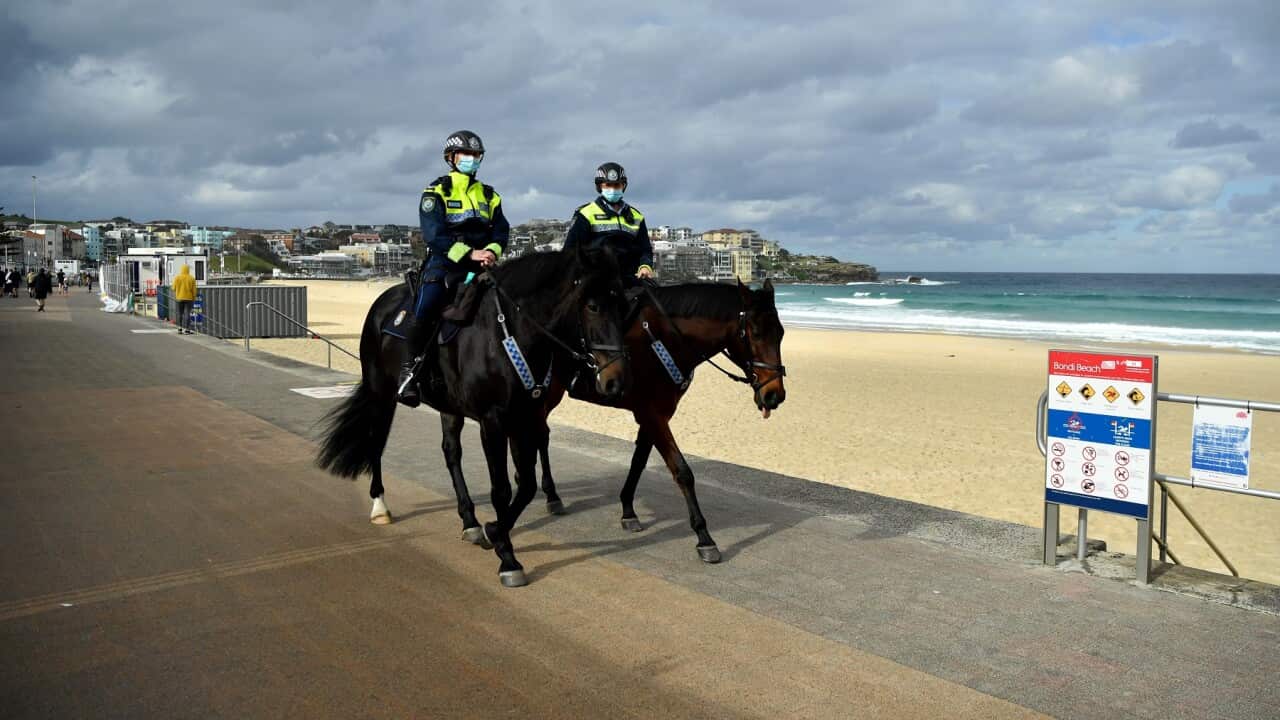 Mounted Police on patrol at Bondi Beach in Sydney