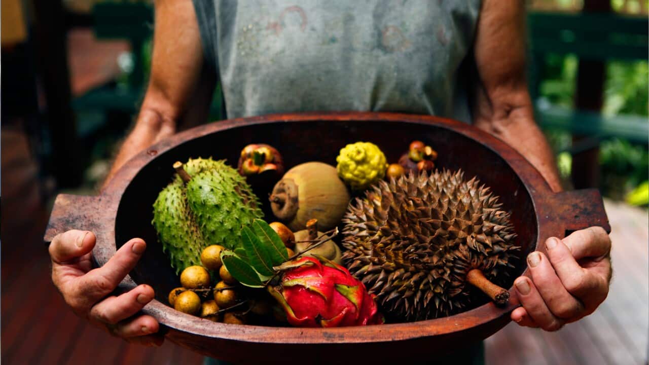 Homegrown: North Queensland