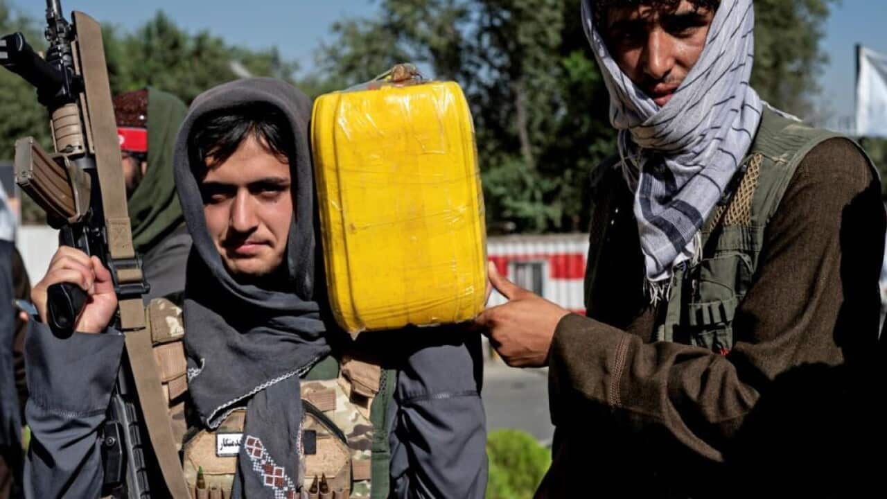 طالبان جوان.jpg