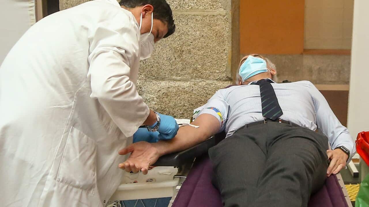 First Blood Donations at the Real Casa de Correos