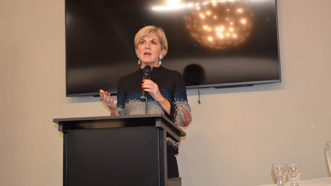 Foreign Affairs Minister Julie Bishop talks about North Korean issues.