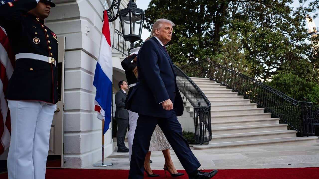 US President Trump hosts Dutch King and Queen at White House dinner