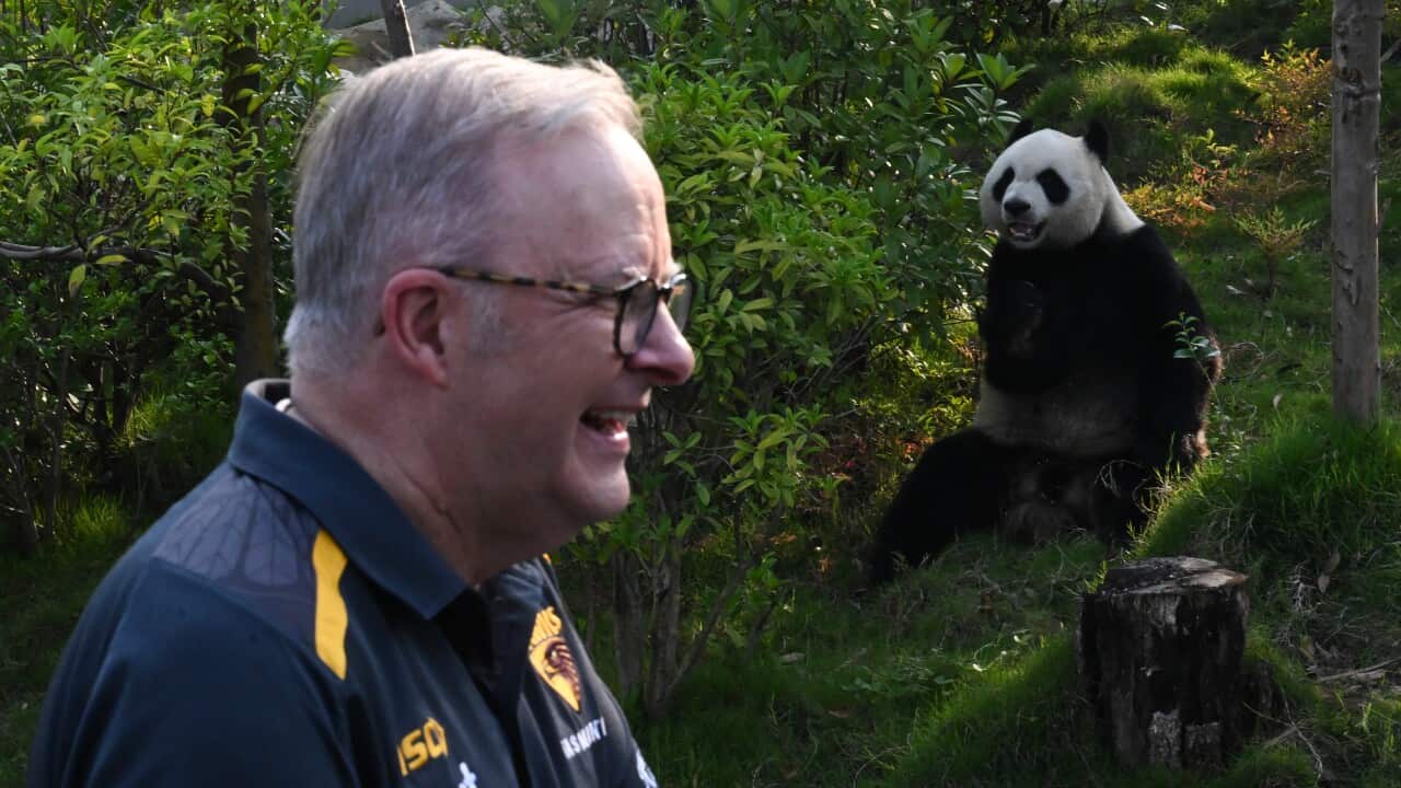 Image for read more article ''