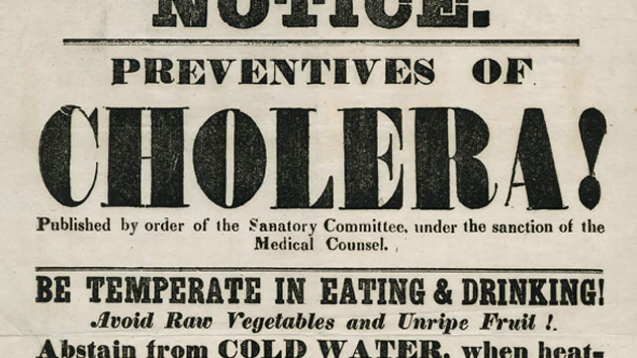 Notice on the prevention of cholera