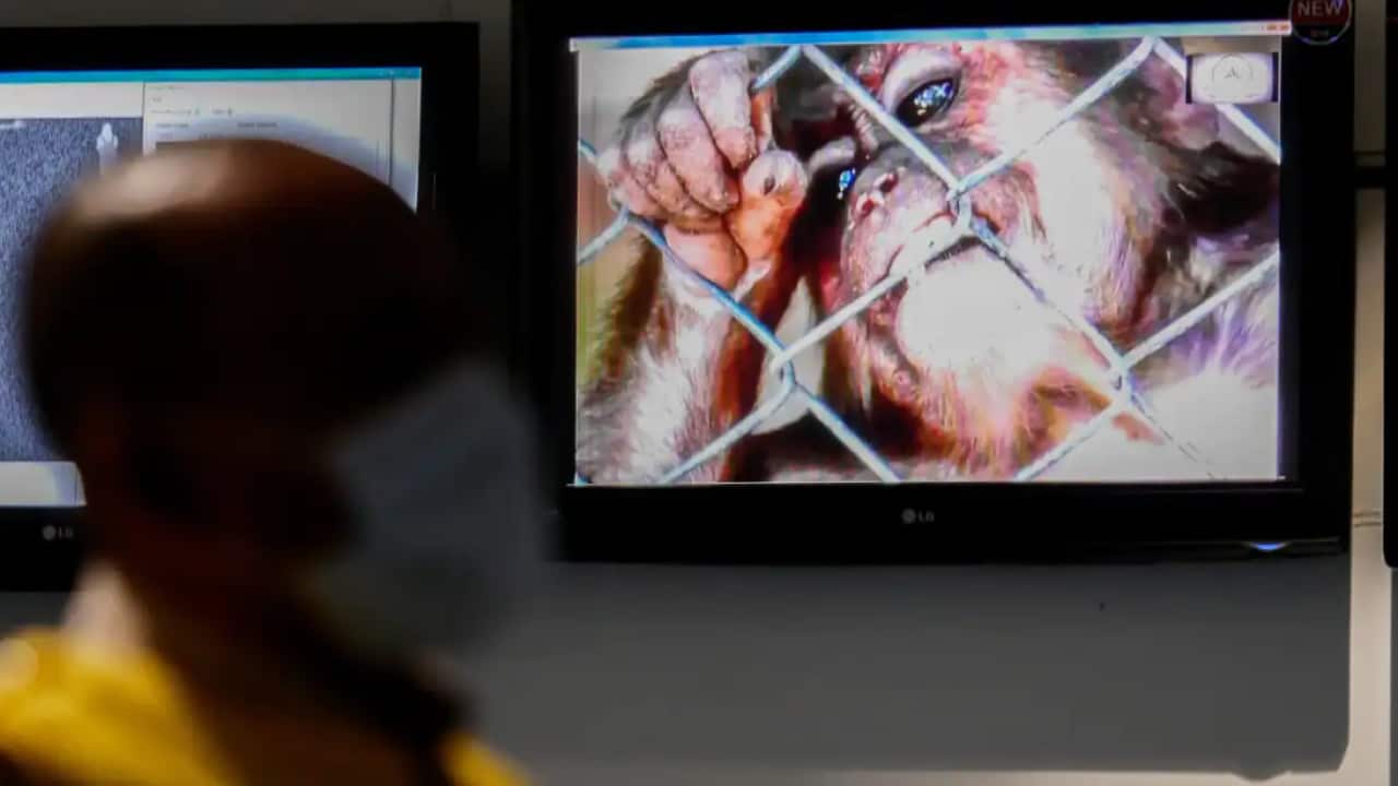 A health officer stands in front of a monkeypox virus information at Soekarno-Hatta International Airport in Tangerang near Jakarta, Indonesia, on 15 May, 2019.