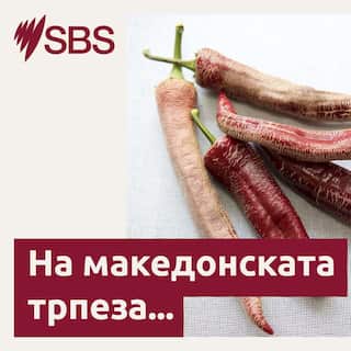 SBS-Podcasts_PhotographyTemplate_3000x3000px_FINAL.jpg
