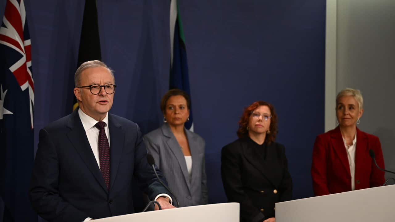 ANTHONY ALBANESE PRESSER