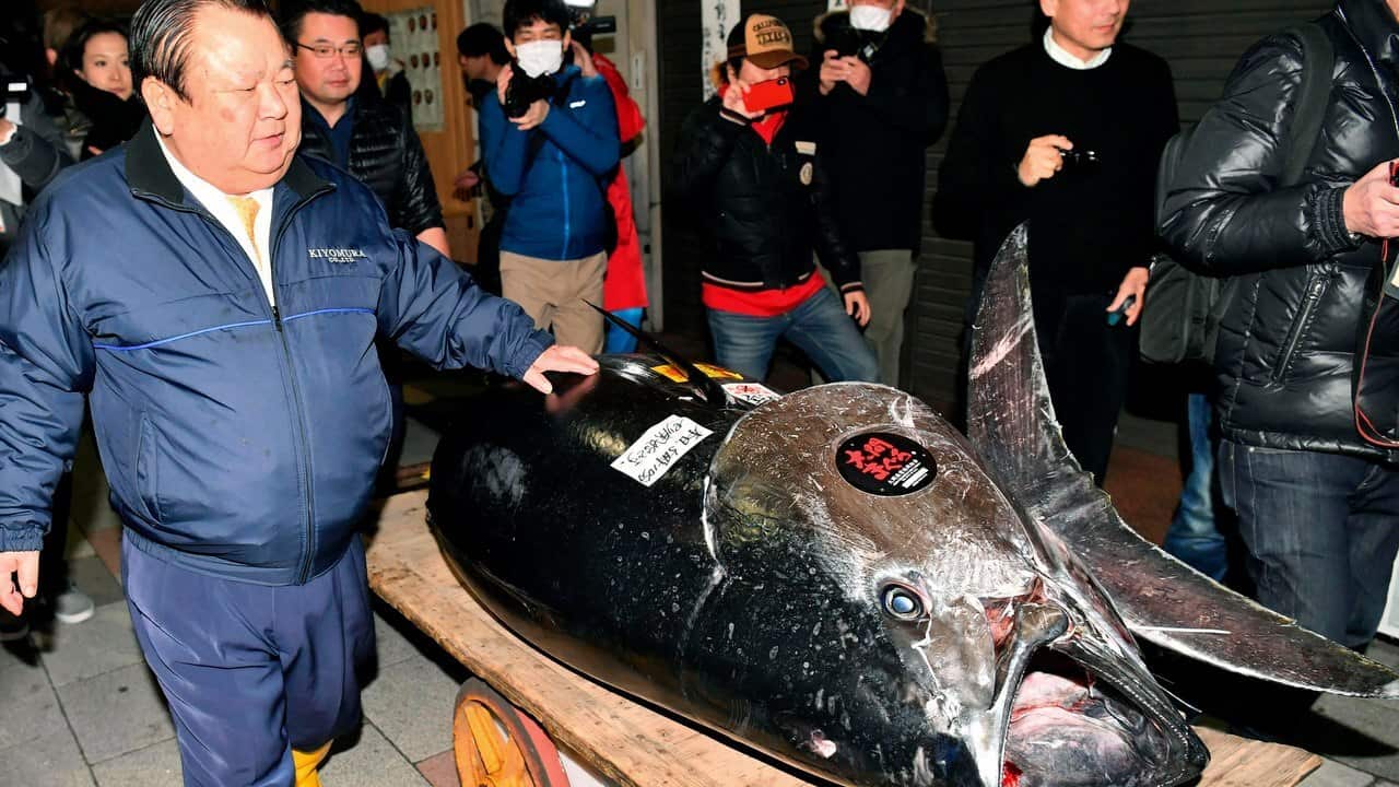Kiyomura Corp. owner Kiyoshi Kimura, left, stands near the bluefin tuna which he made a wining bid at the annual New Year auction, in Tokyo.