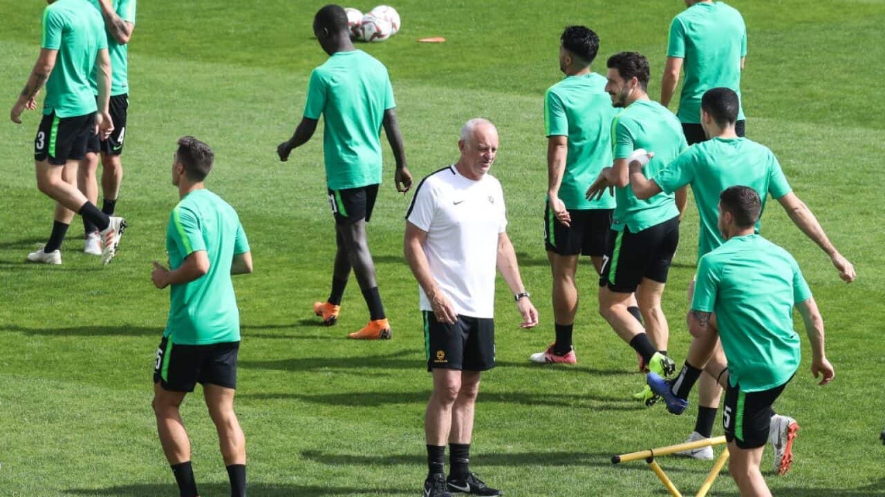 Graham Arnold