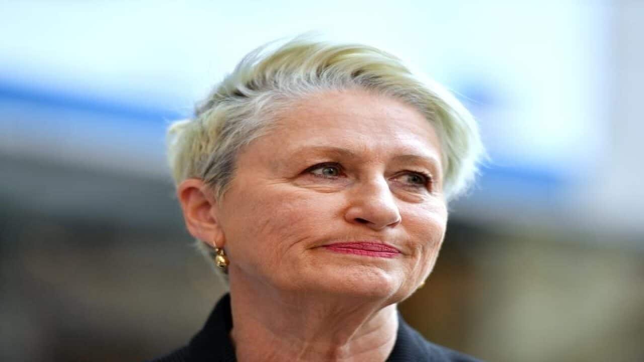 Independent candidate for Wentworth Kerryn Phelps addresses the media.