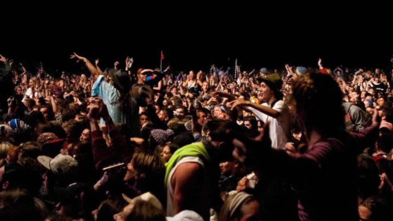 Music fans at the the Falls Festival in Victoria.