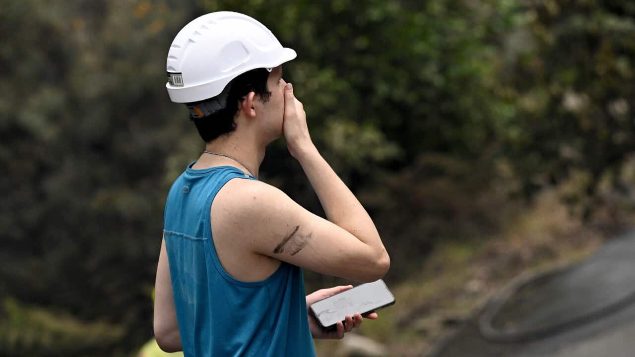 BUSHFIRE CENTRAL COAST