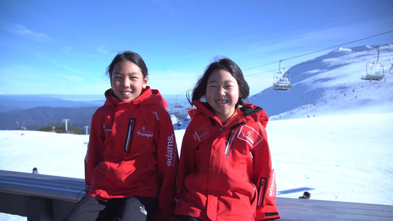 Image for read more article ''