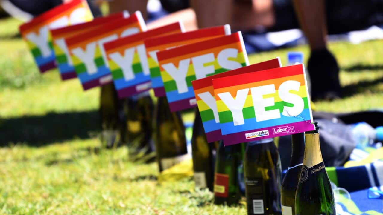 Empty champagne bottles with yes flag