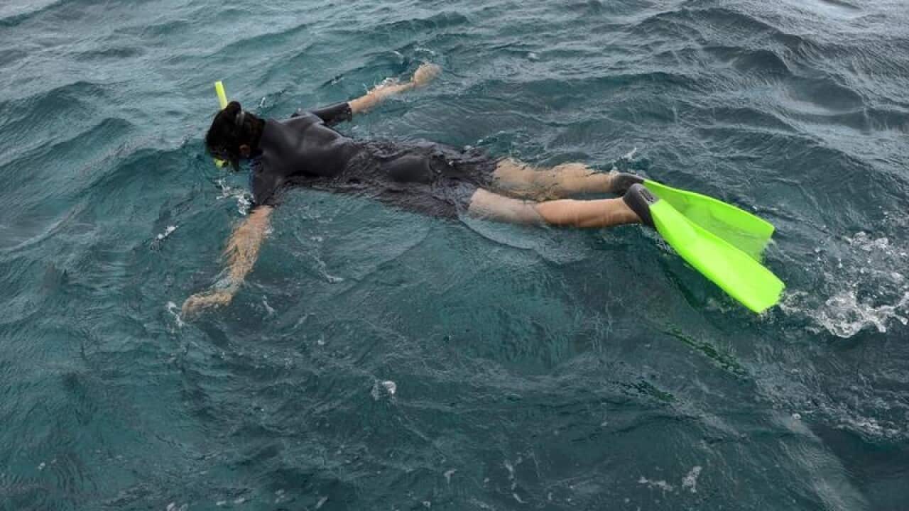 A visitor snorkels at Lady Elliott Island