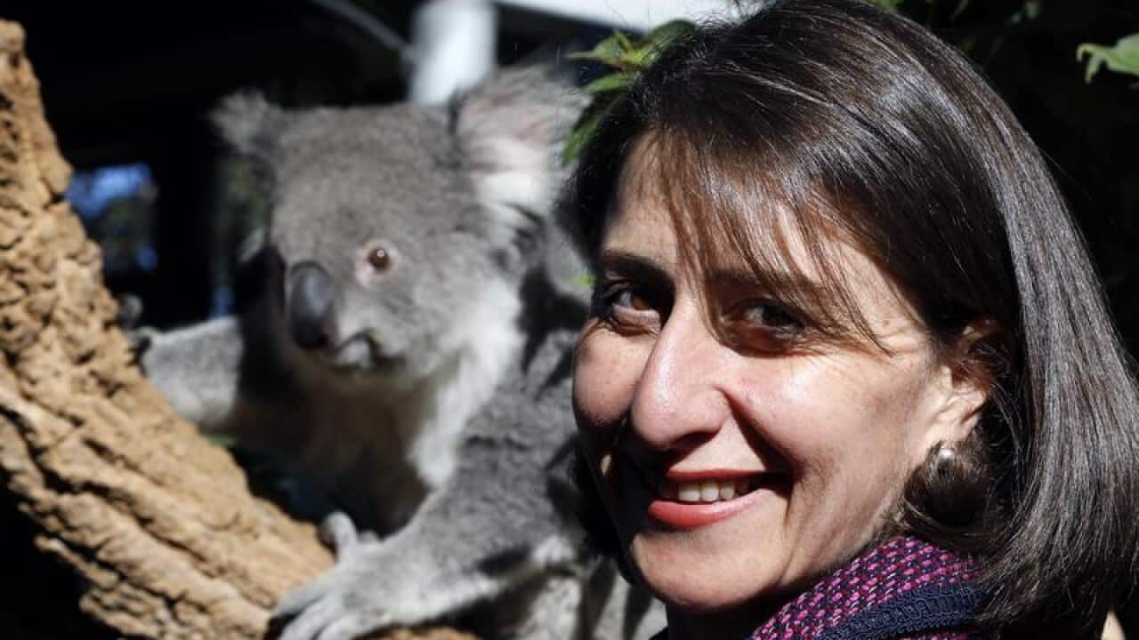 NSW Premier Gladys Berejiklian posing with a koal at Taronga Zoo