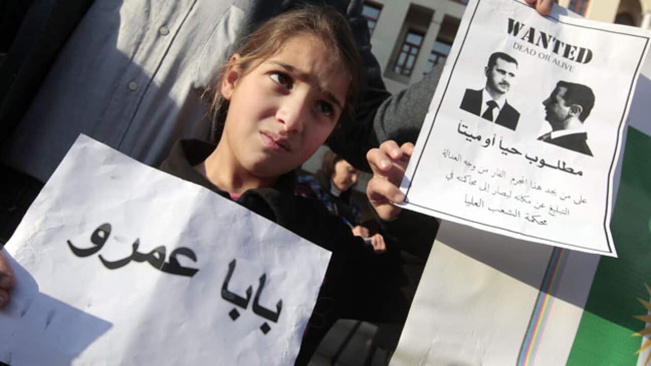 Syria big_790613549