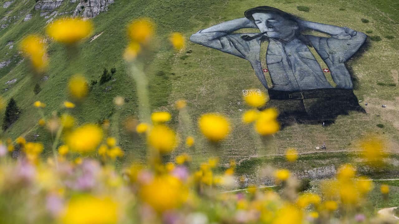 A fresco painted on grass with biodegradable paint, representing a Swiss shepherd of 10000 square metres, by French artist Saype.