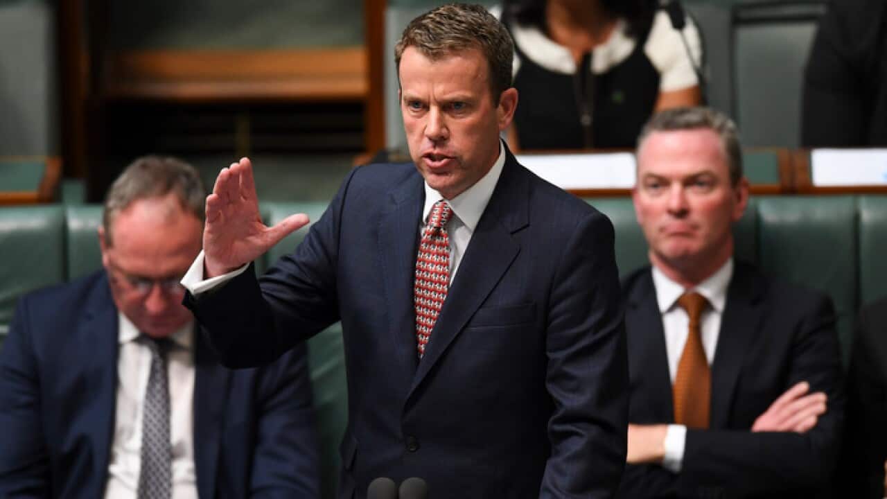 Australian Social Services Minister Dan Tehan speaks during House of Representatives Question Time at Parliament House in Canberra