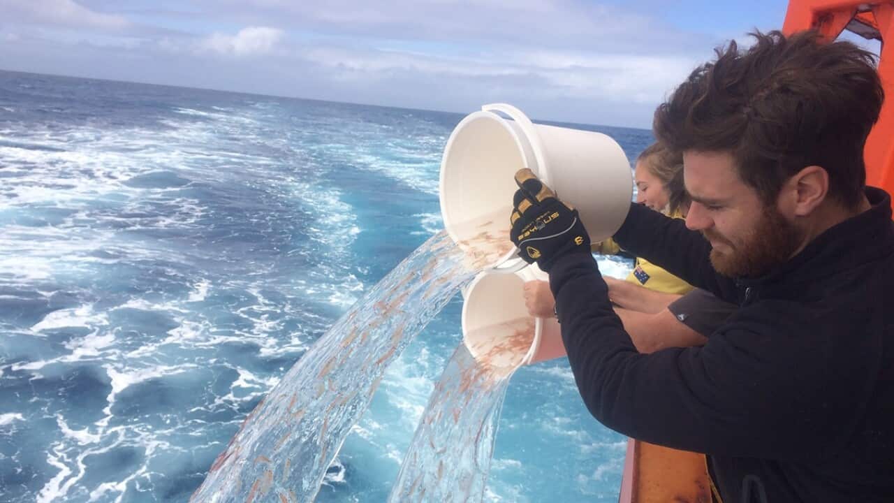 Image for read more article 'READ MORE'