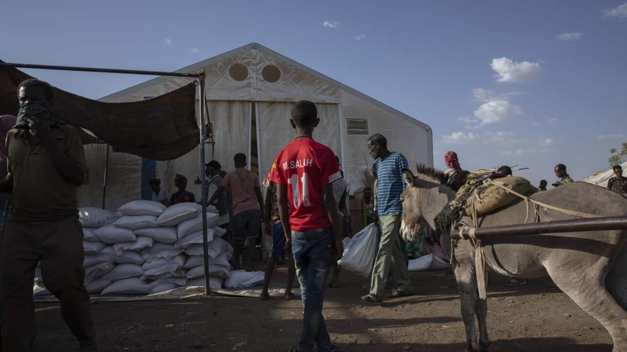 A Tigrayan boy looks at food rations being distributed in Hamdayet, eastern Sudan, near the border with Ethiopia