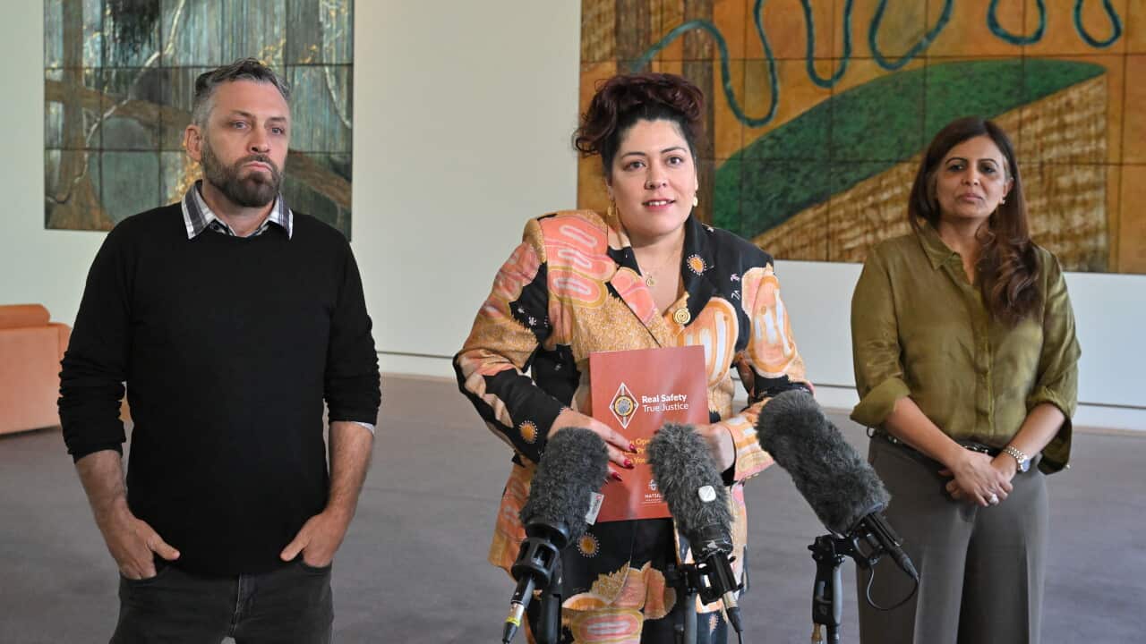 NATIONAL YOUTH JUSTICE PRESSER