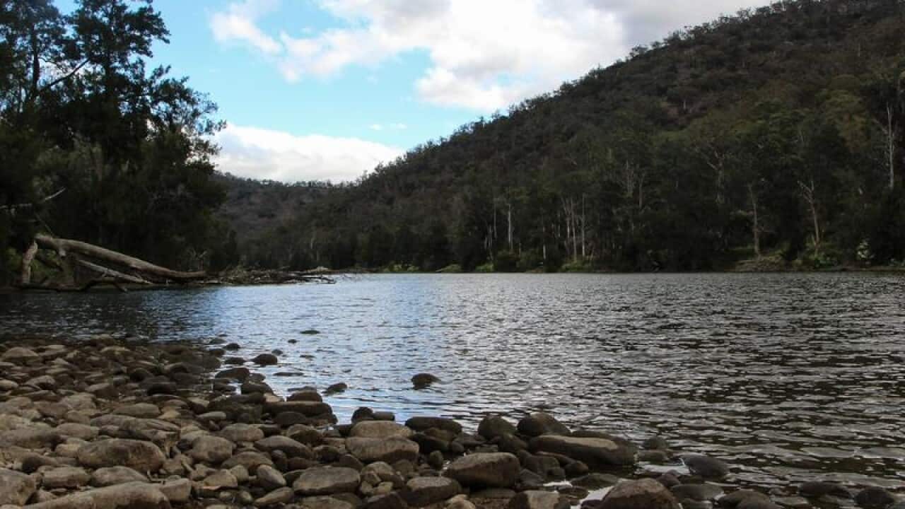 Sydney dams water