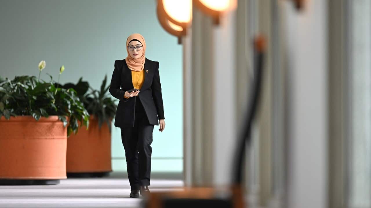 FATIMA PAYMAN PRESSER