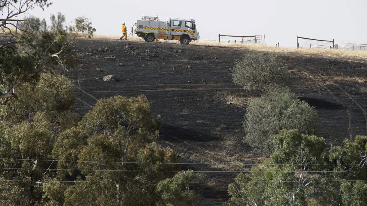 CFA crews in South Australia mop up after a paddock fire.