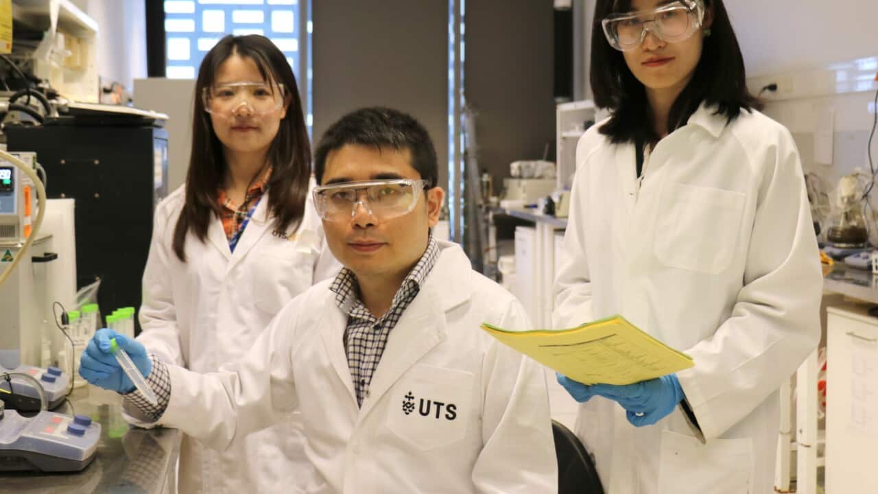 Image for read more article ''