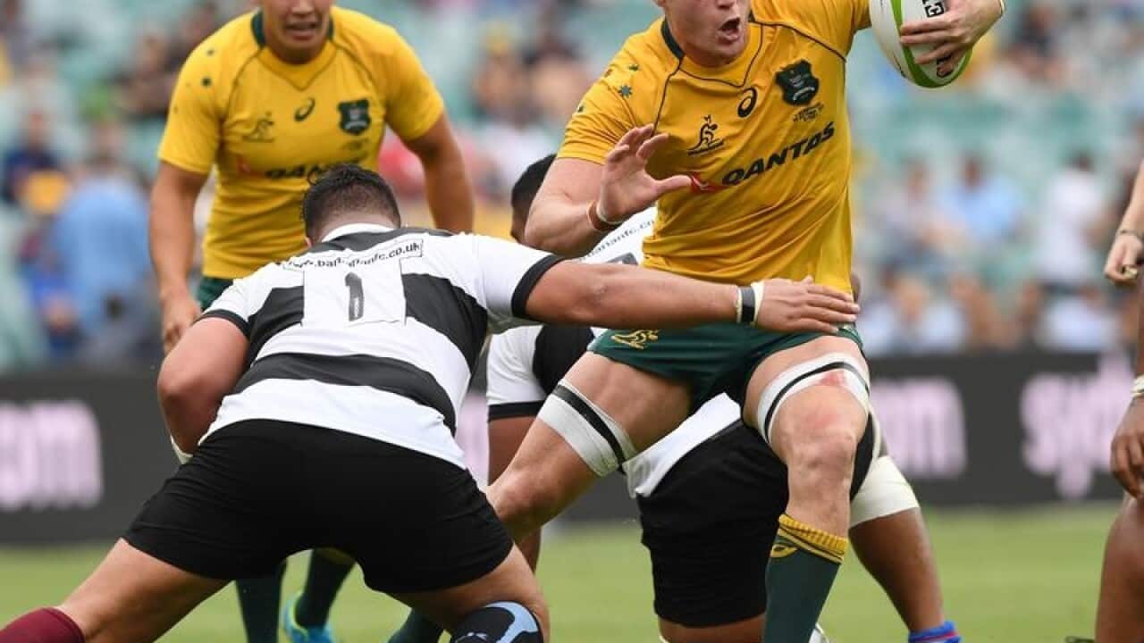 Waratahs flanker Jack Dempsey