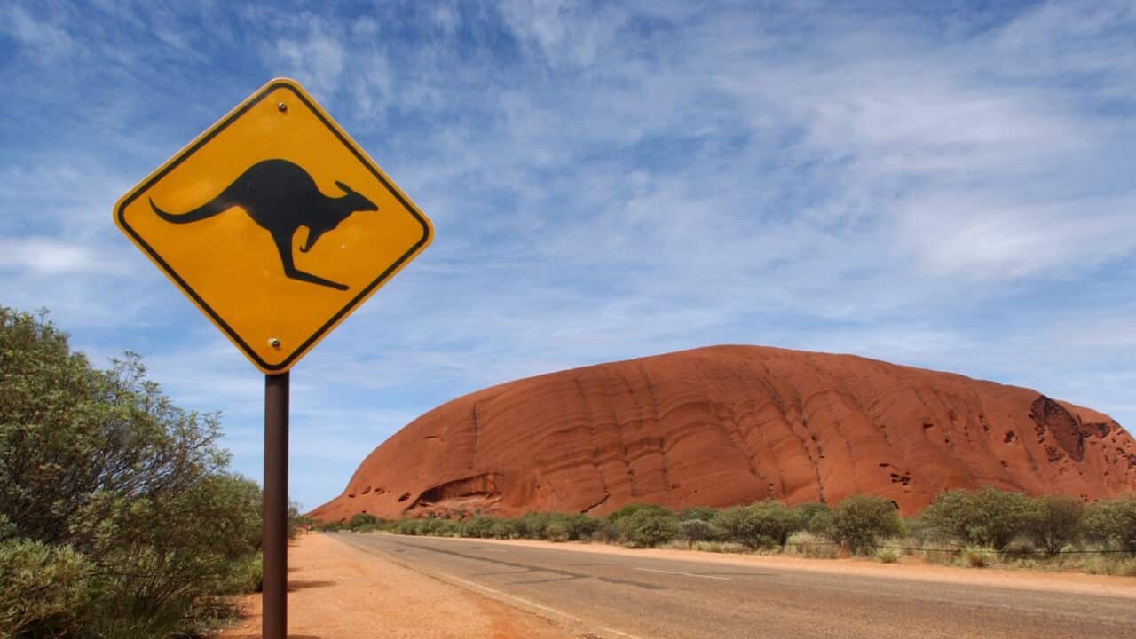 Image for read more article 'READ MORE'