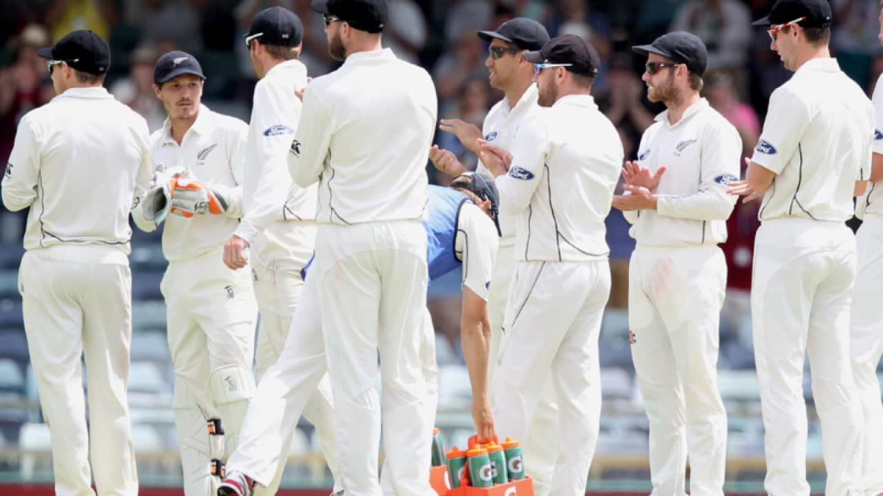 New Zealand cricketers