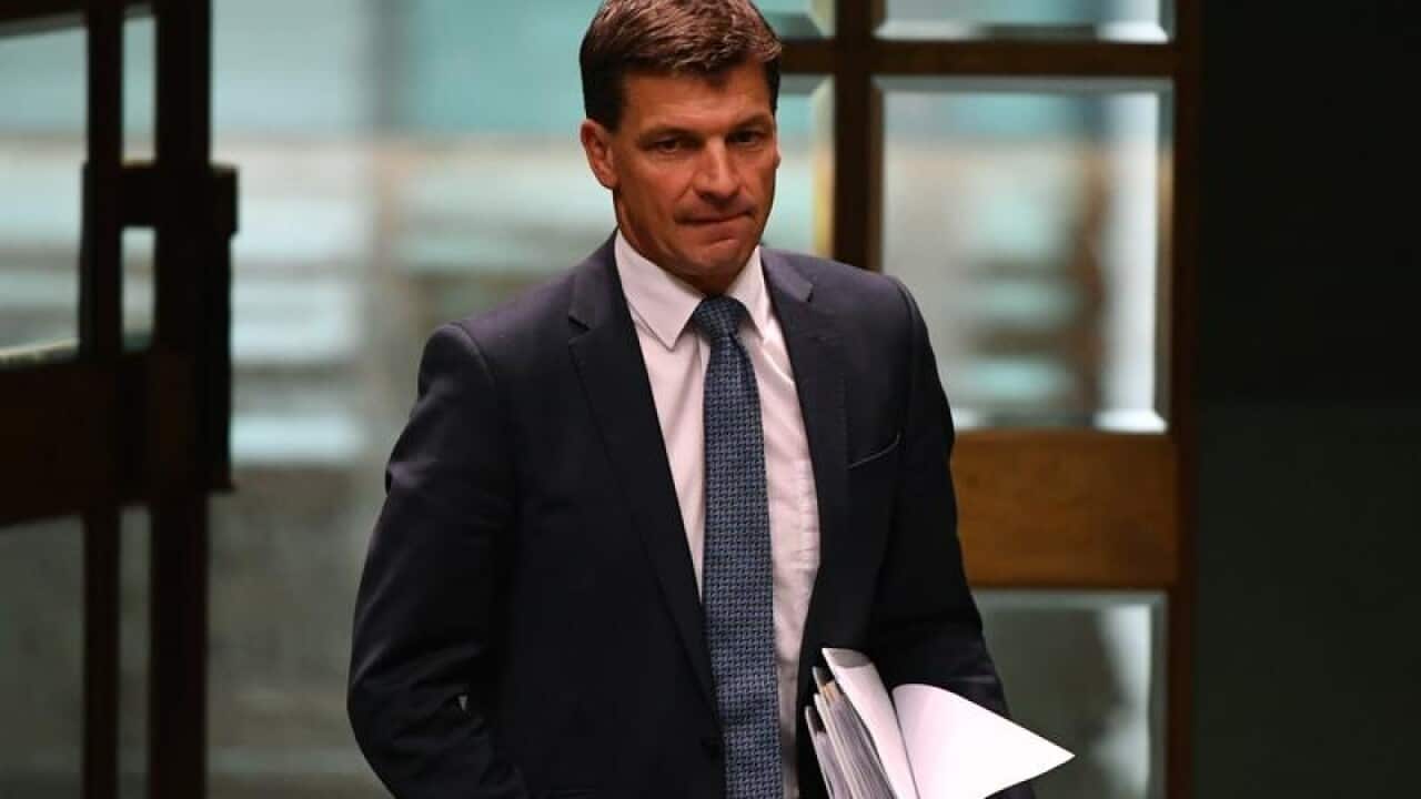 Energy Minister Angus Taylor