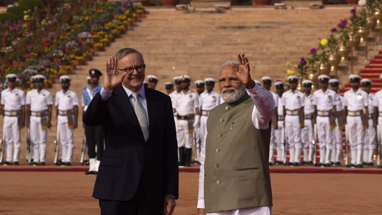 India Australia