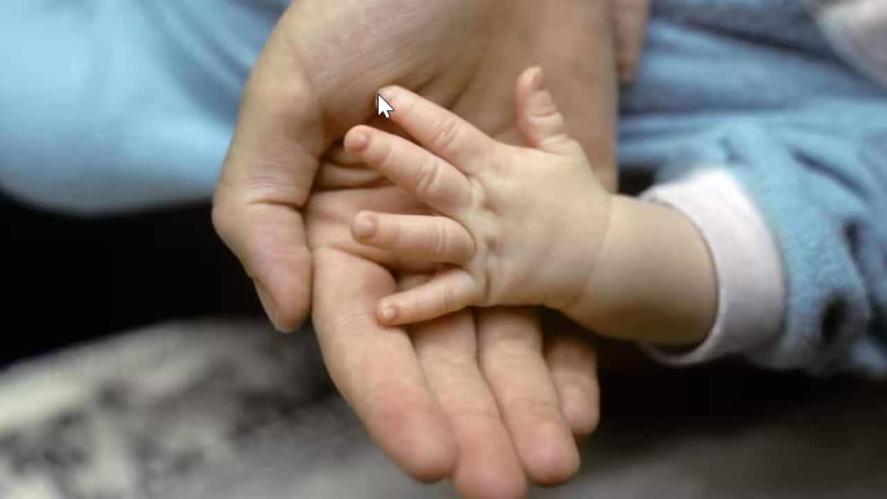 The study found most young Australians still hope to have two or three children, despite Australia's record-low fertility rate..png